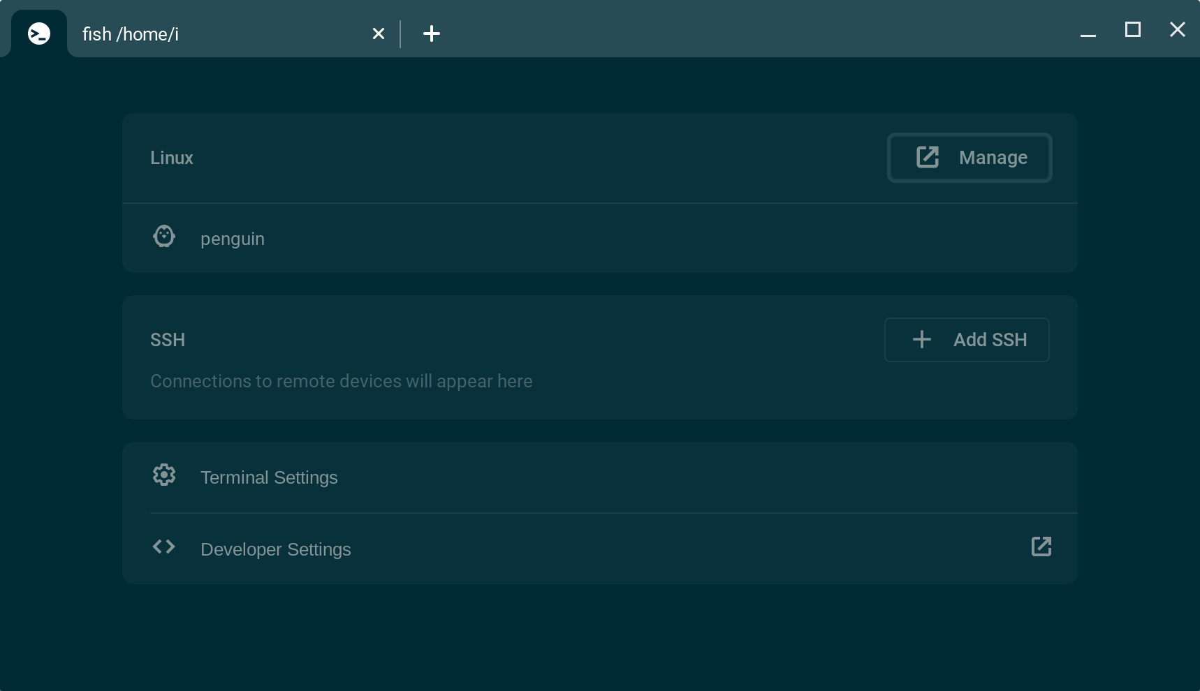 ChromeOS-terminal-main