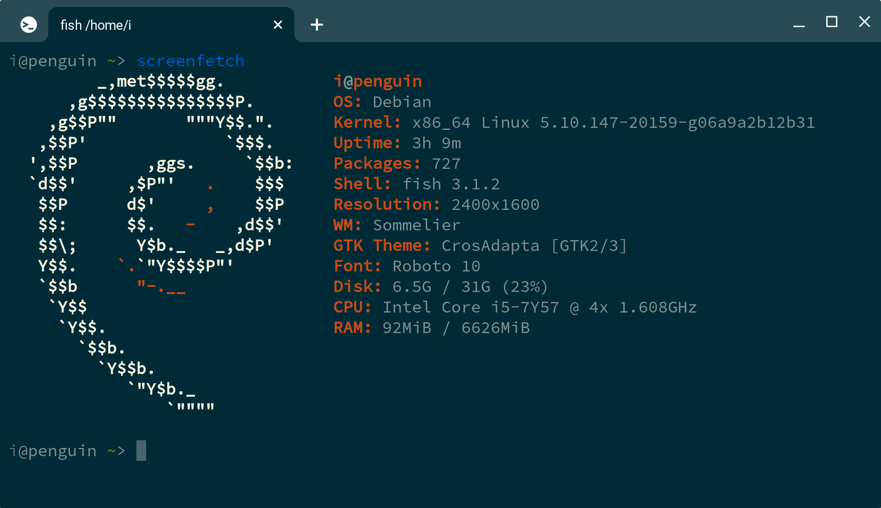 ChromeOS-terminal-screenfetch